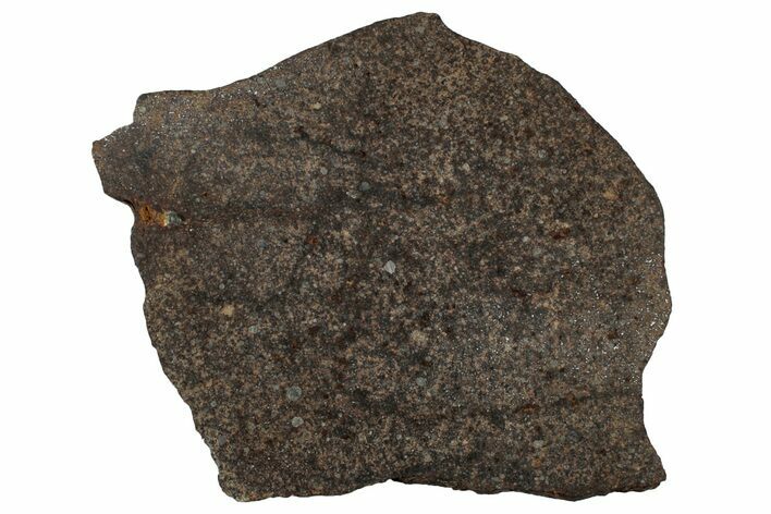 H Chondrite Meteorite ( g) Slice - NWA #301184